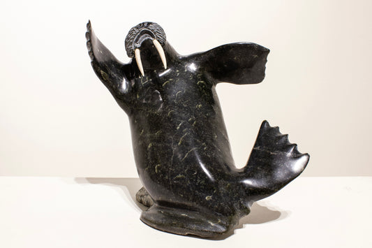 Jaco Ishulutaq, Playful Walrus