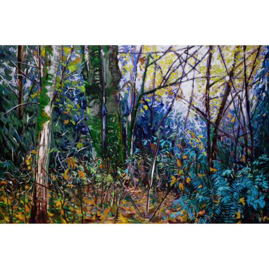 Stephanie Taylor, Forest Visions X
