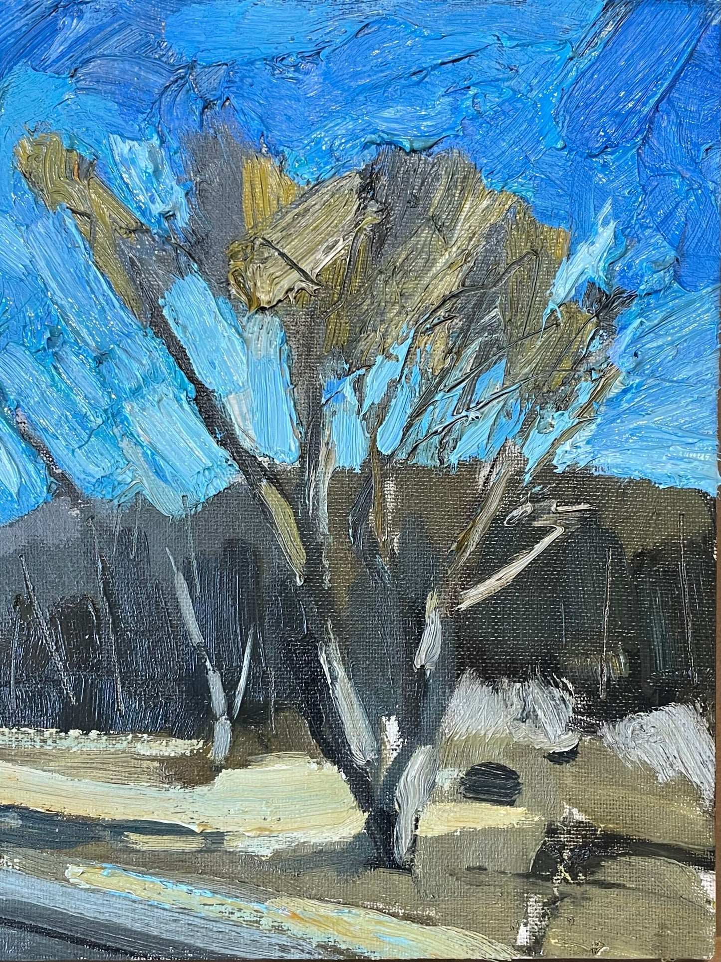 Stewart Jones, ROADSIDE TREE _PEC