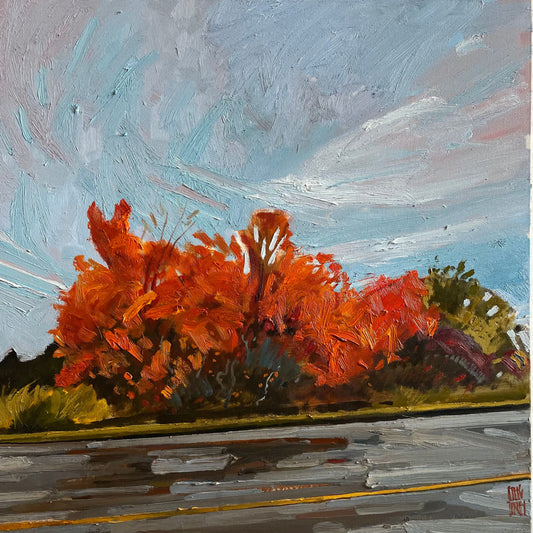 Stewart Jones, ROADSIDE_PEC