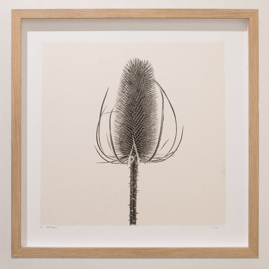 Kelly McDonald, Bare Bones