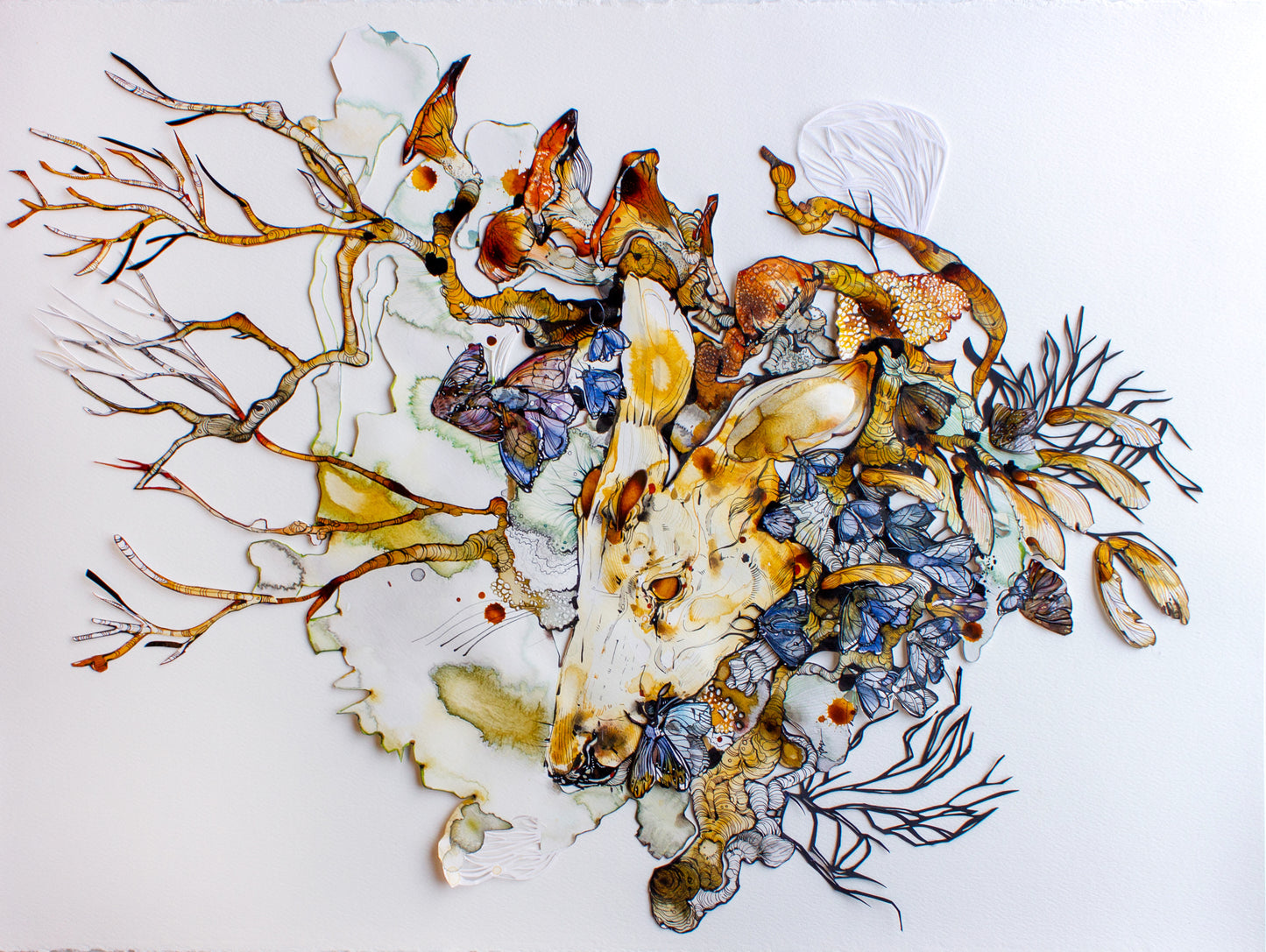 Ariane Beauchamp, Between Roots and Wings