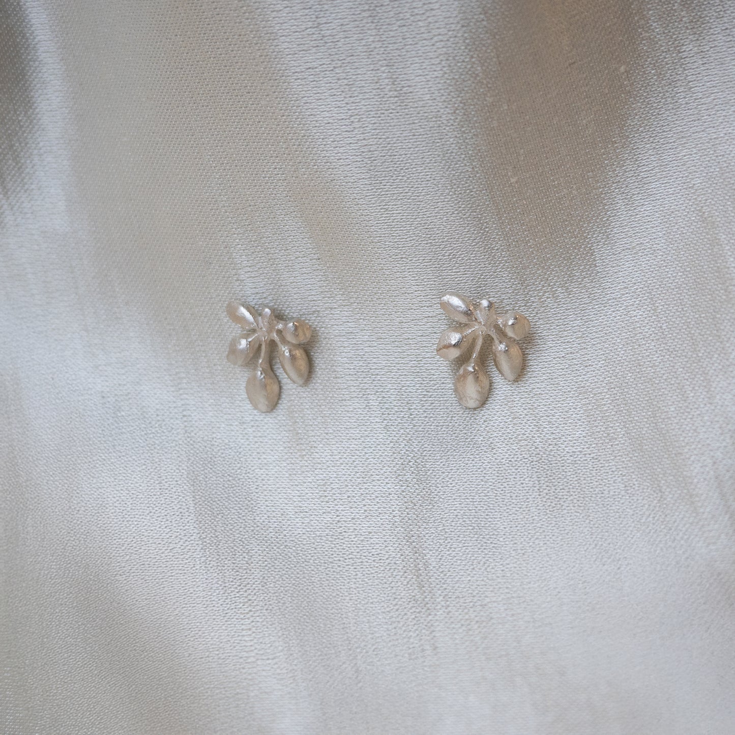 Andrea Mueller, Quintet Stud