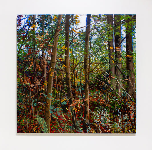 Stephanie Taylor, Fall II