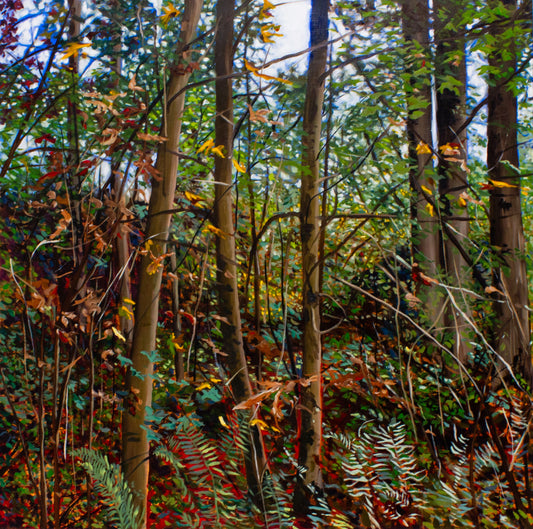 Stephanie Taylor, Fall II