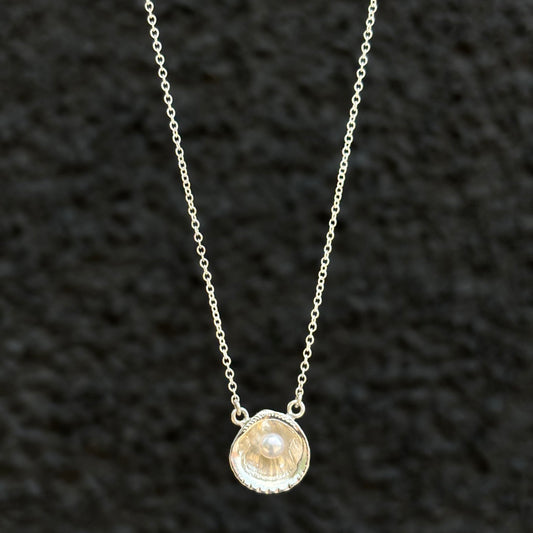 Kathryn Rebecca, Shell with Pearl Necklace