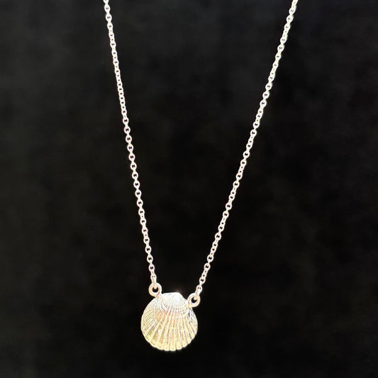 Kathryn Rebecca, Shell with Pearl Necklace