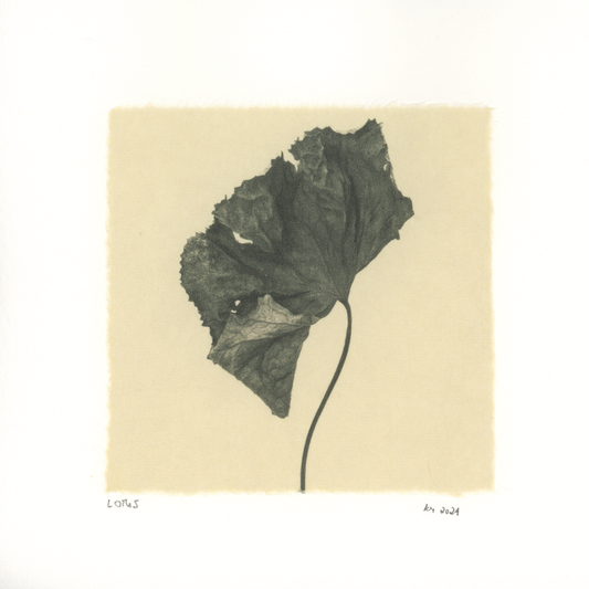 Kelly McDonald, Lotus