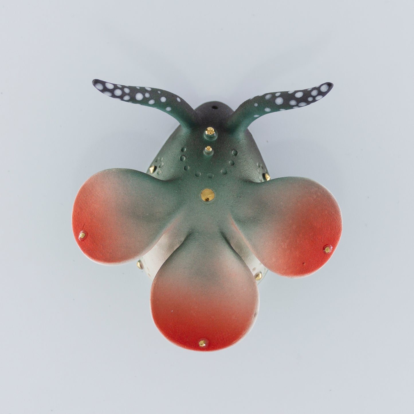 Dauma Stirbyte, Beetle 24