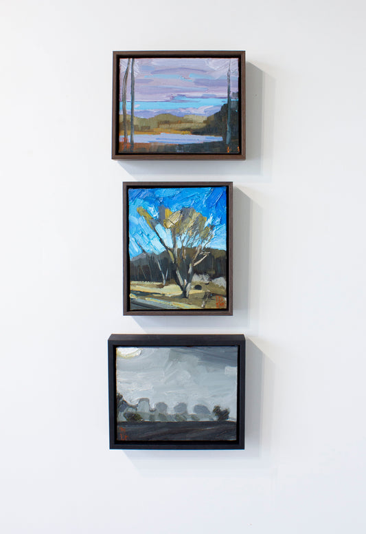 Stewart Jones, DUNES VIEW