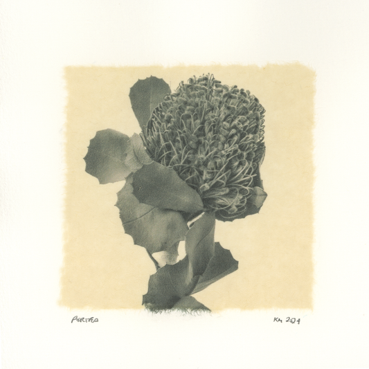 Kelly McDonald, Portea