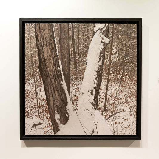 Peter Rotter, First Snow