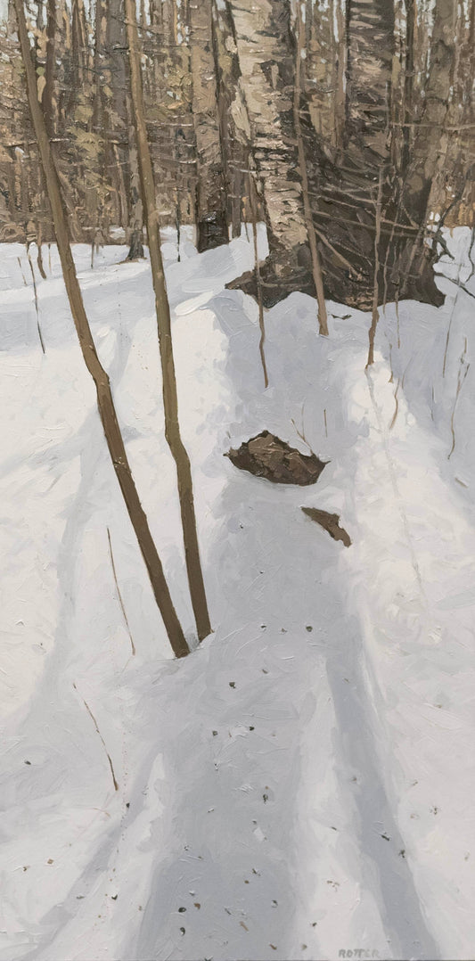 Peter Rotter, Shadows