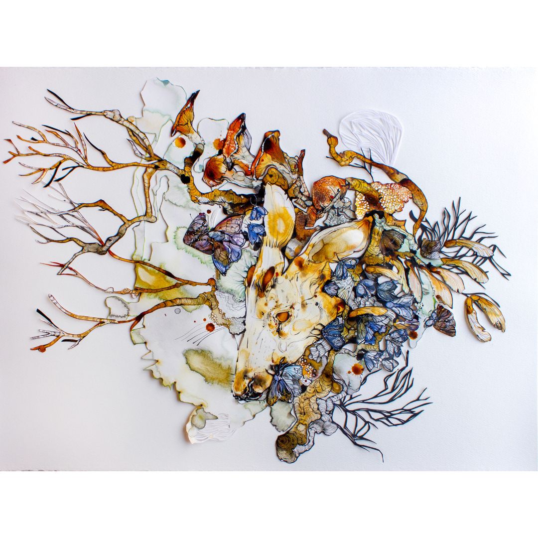 Ariane Beauchamp, Between Roots and Wings