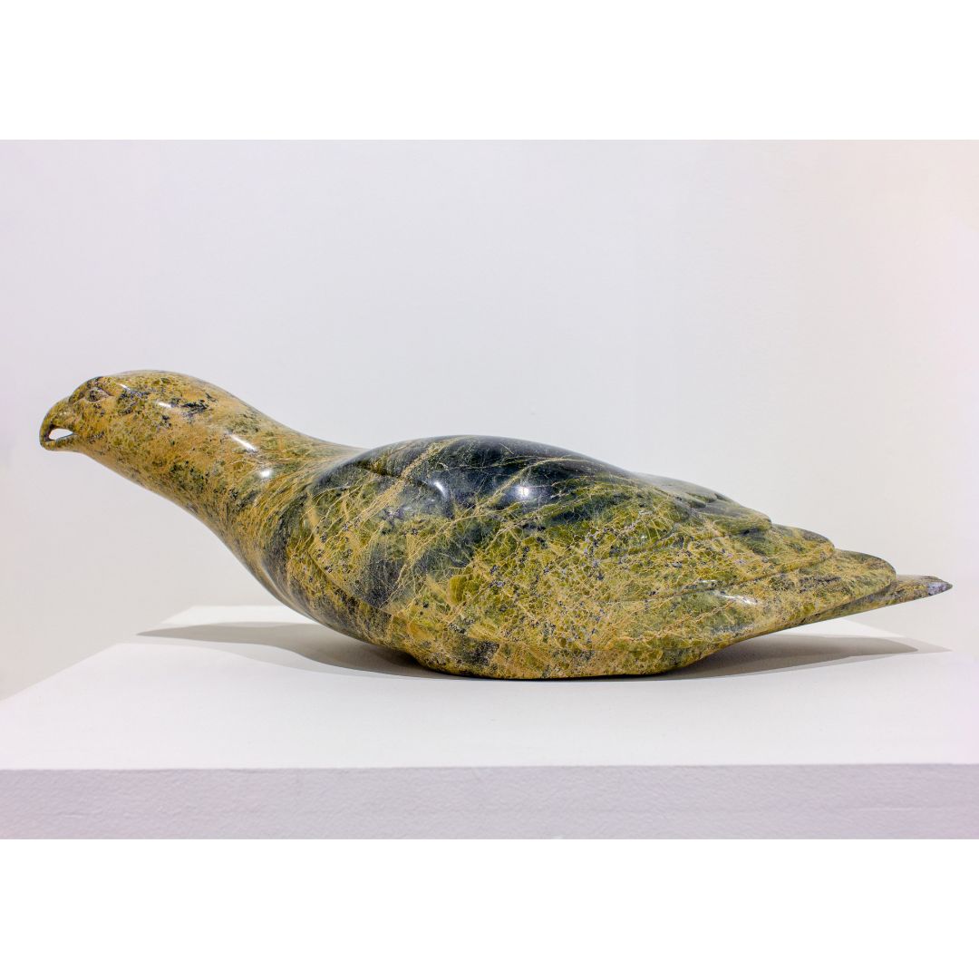 Oviloo Tunnillie, Resting Falcon