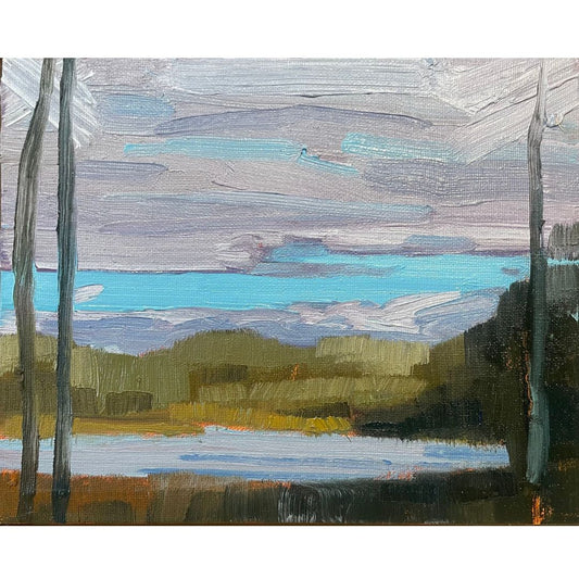 Stewart Jones, DUNES VIEW