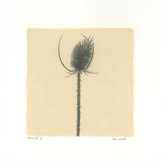 Kelly McDonald, Thistle 2