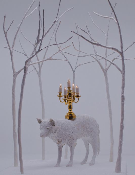 Patti Normand, Transcendence