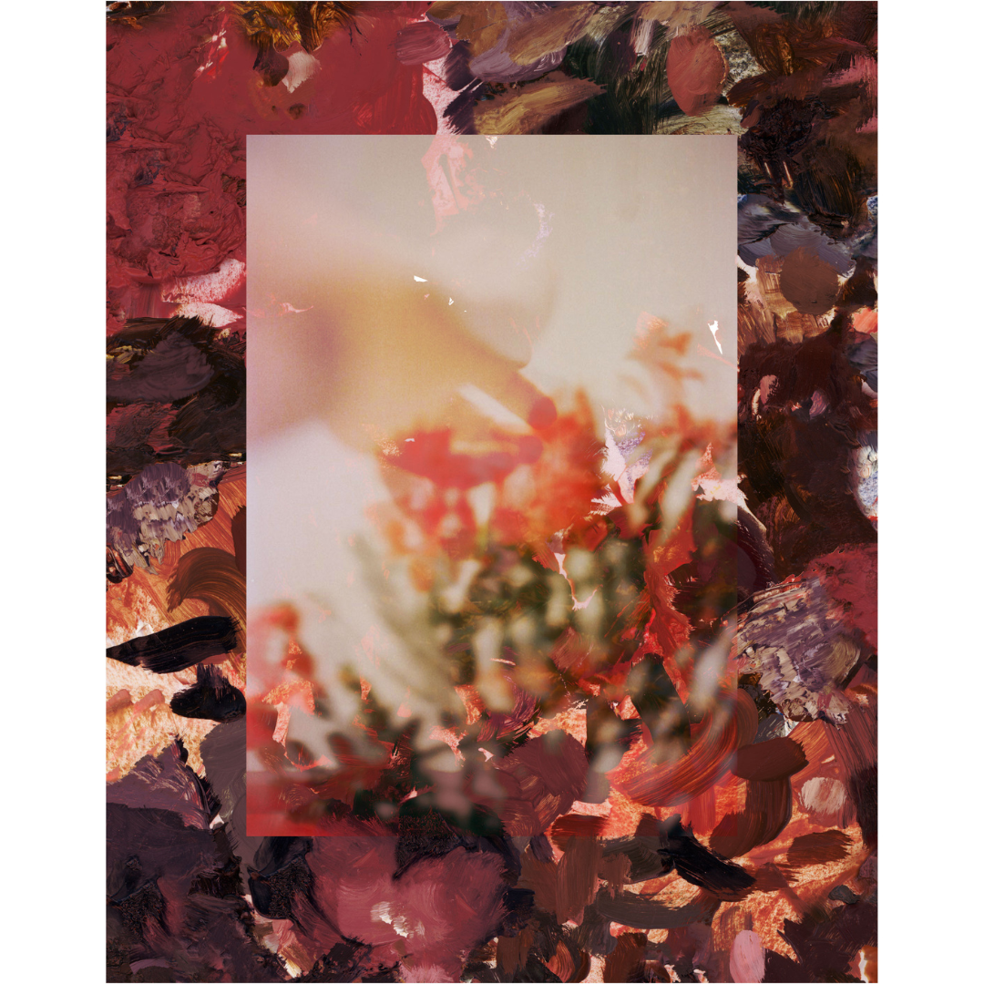 Nicole Krstin, Pluck