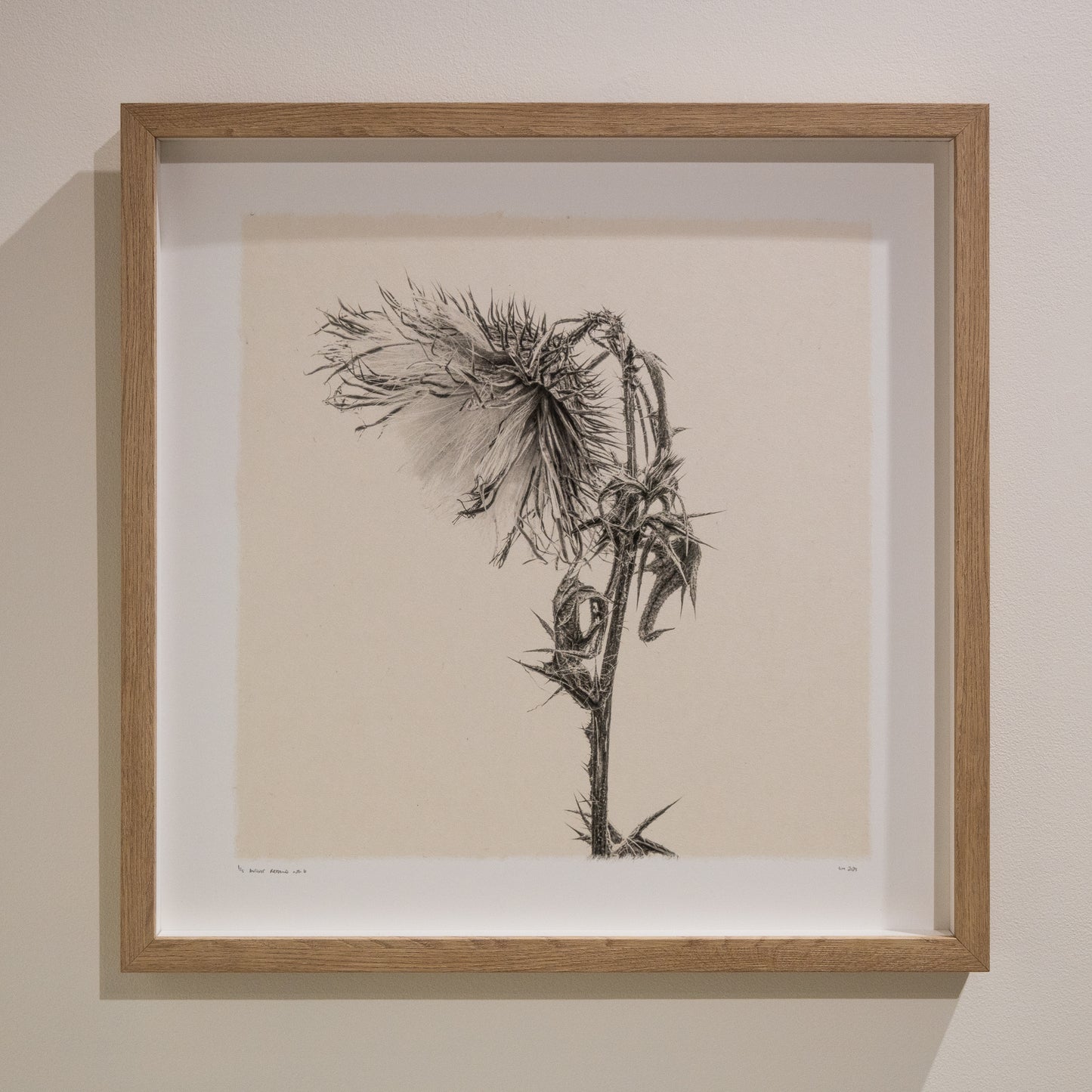 Kelly McDonald, What remains no.6