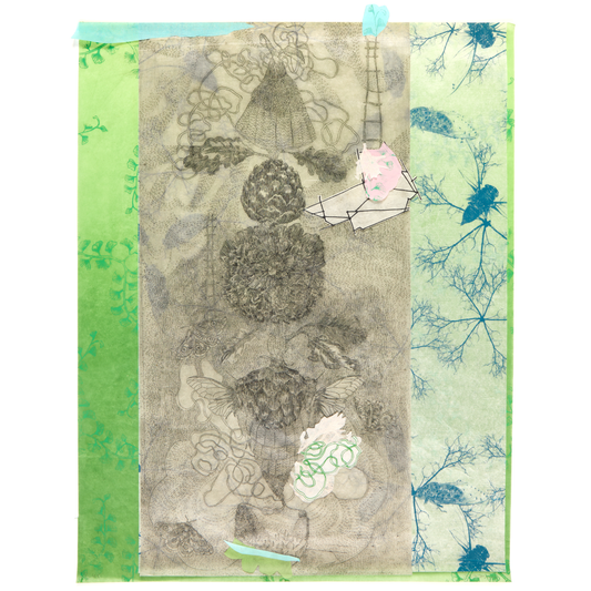 Elizabeth D'Agostino, Woven Topographies, Series VI