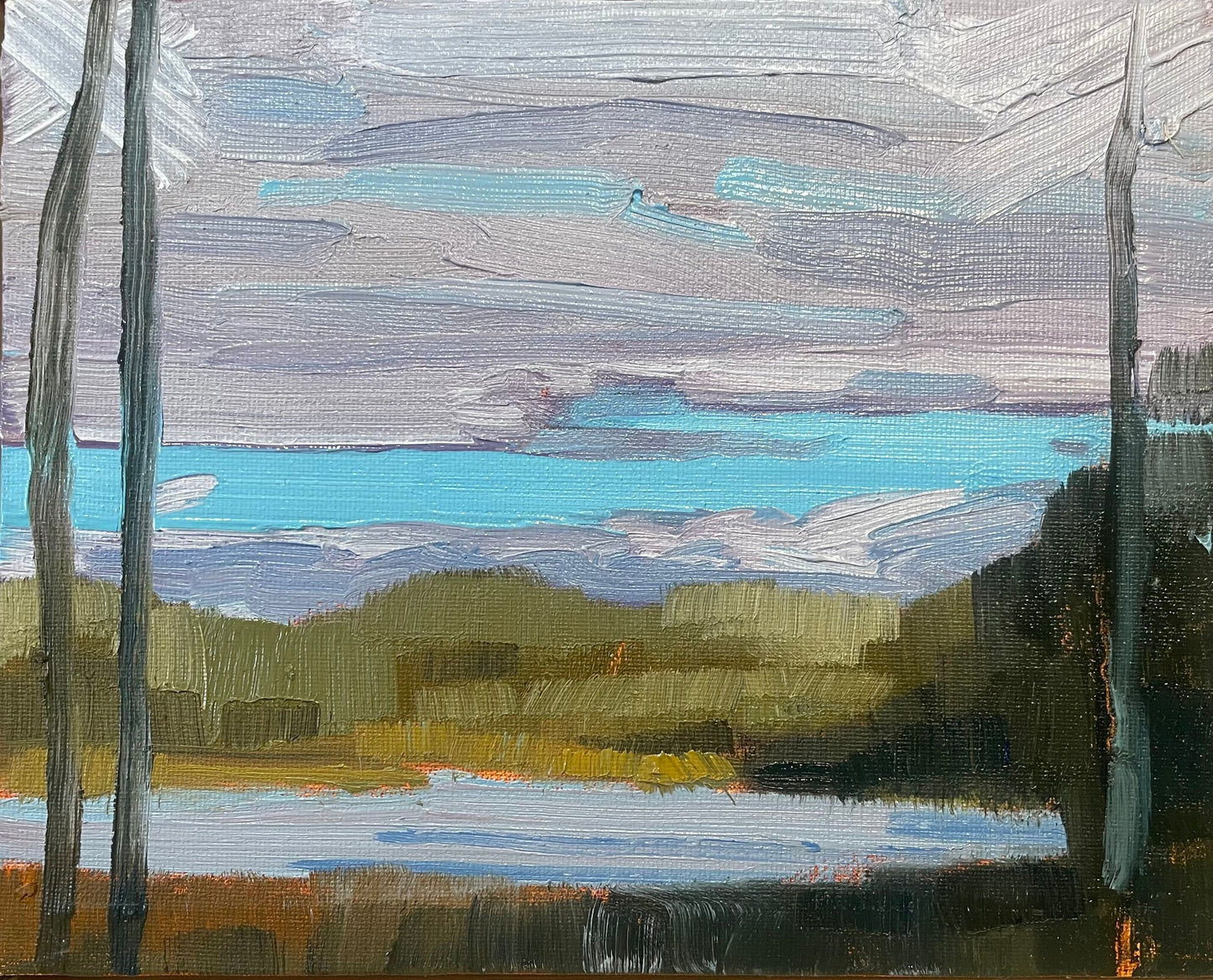 Stewart Jones, DUNES VIEW
