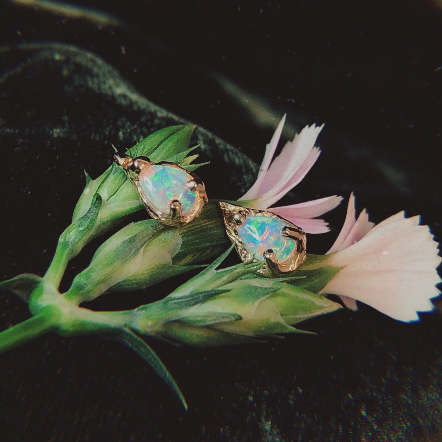 RYHN, Per Se Opal Tear Drop Studs
