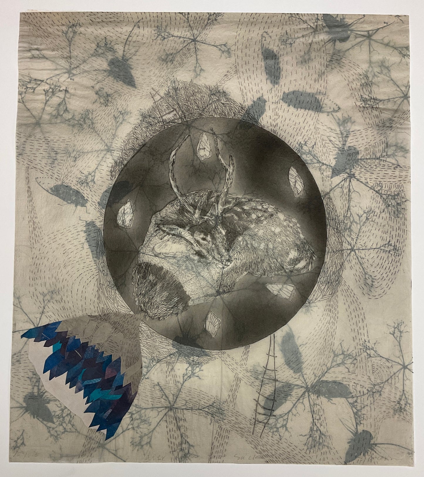Elizabeth D'Agostino, Deer with Podsack I