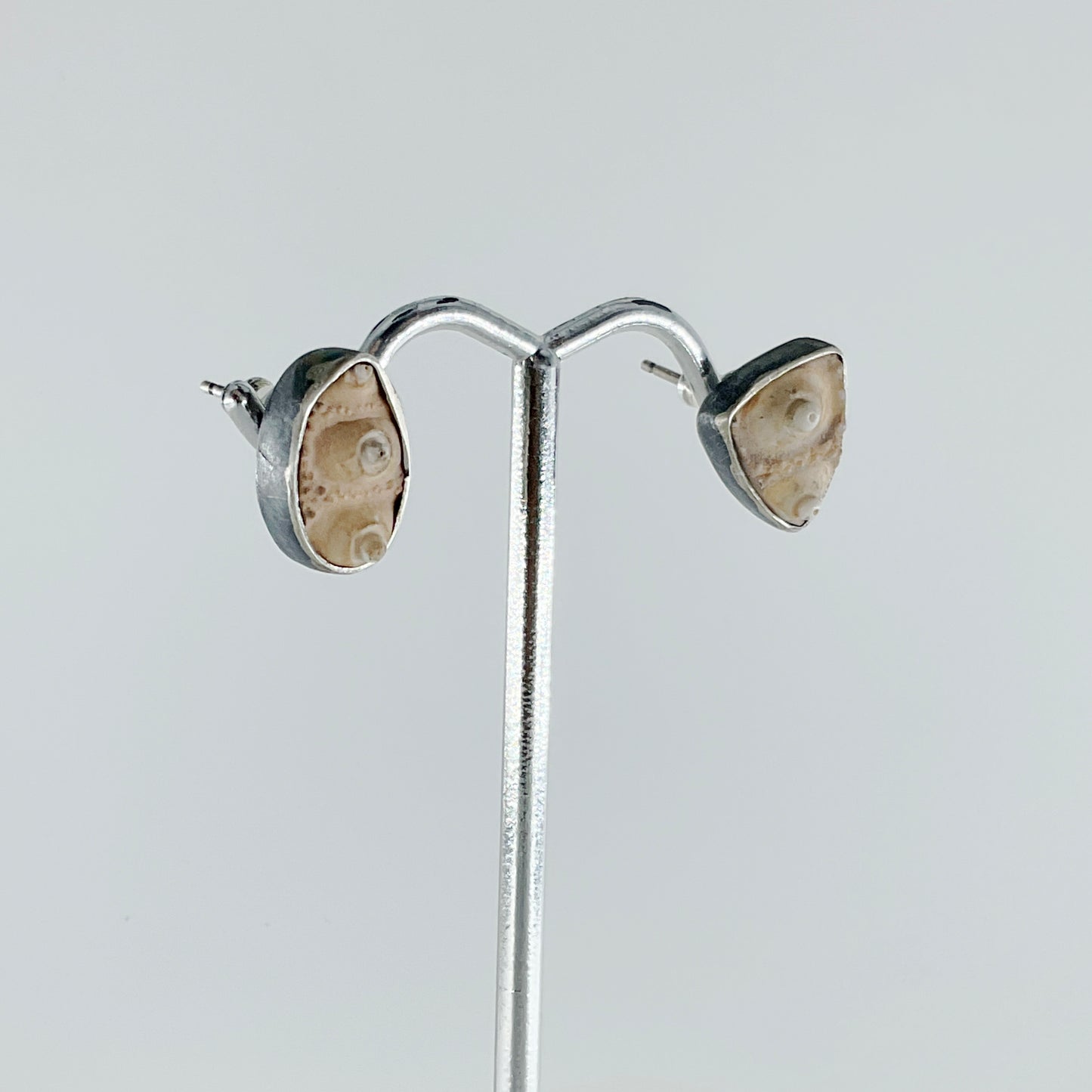 Lori Francescutti, Fossilized Urchin Stud Earrings