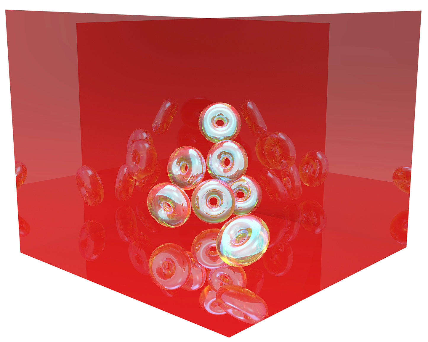 Marianne Burlew, Donut Study VI