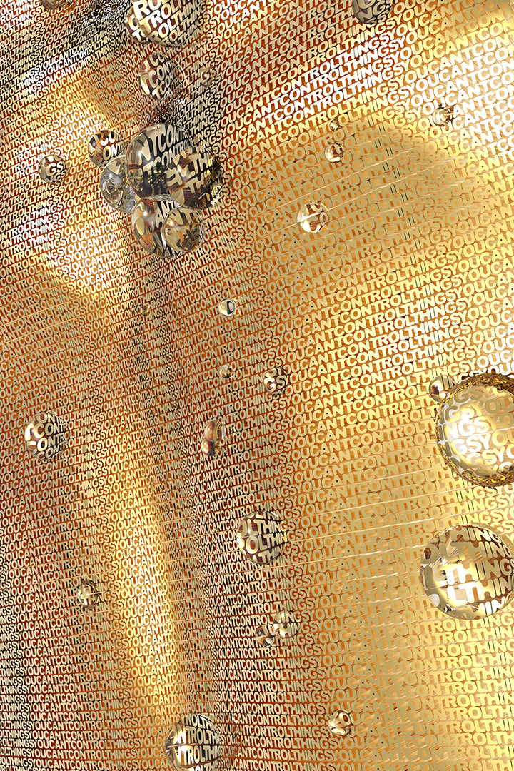 Marianne Burlew, Things you can't control I