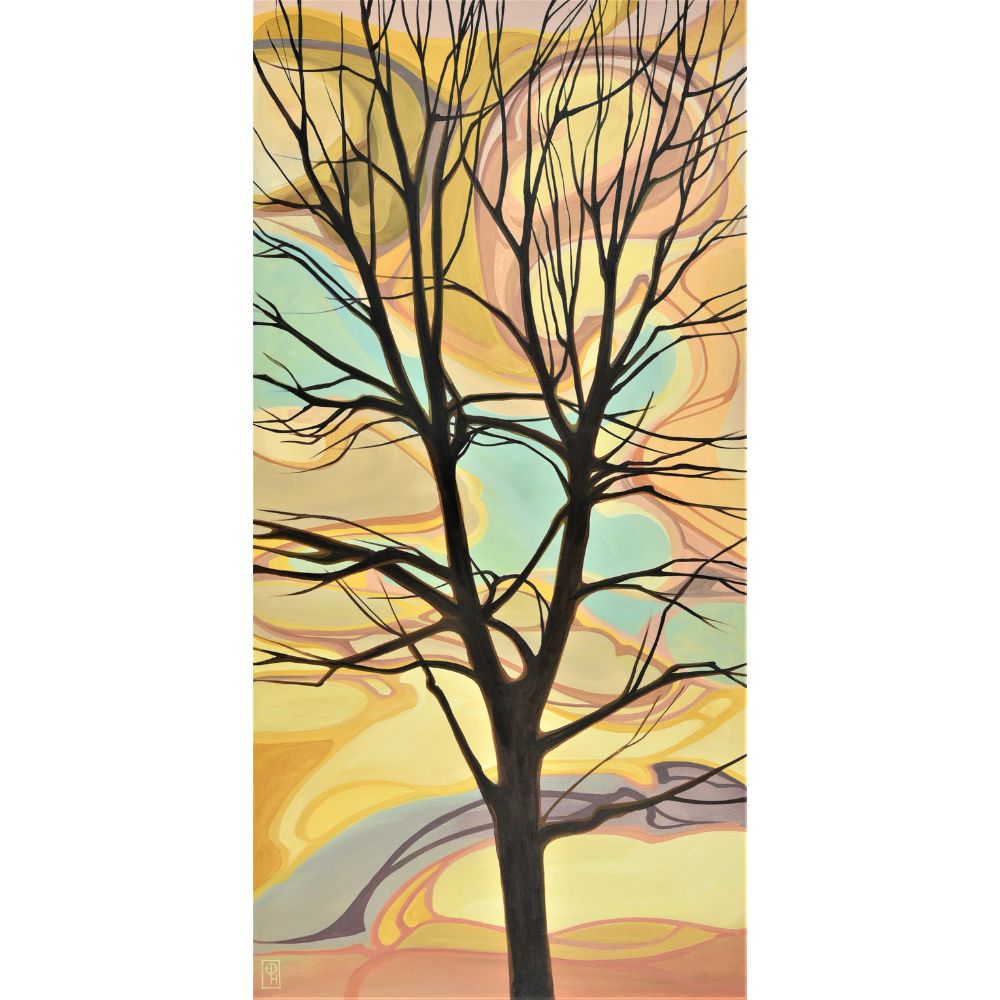 Erica Hawkes, Soft and Stark