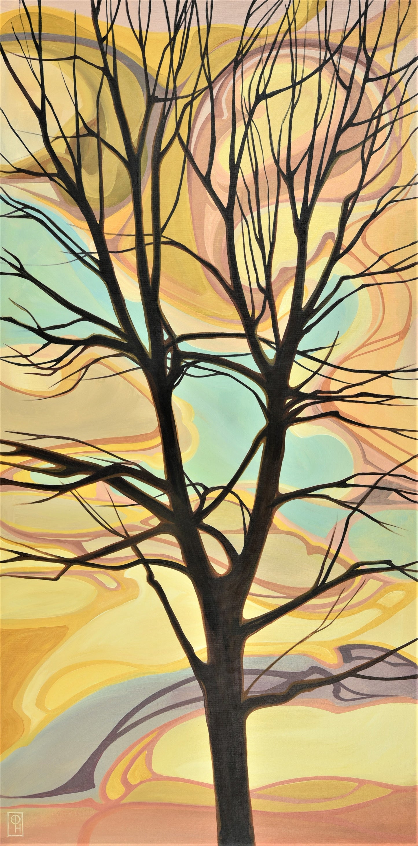 Erica Hawkes, Soft and Stark