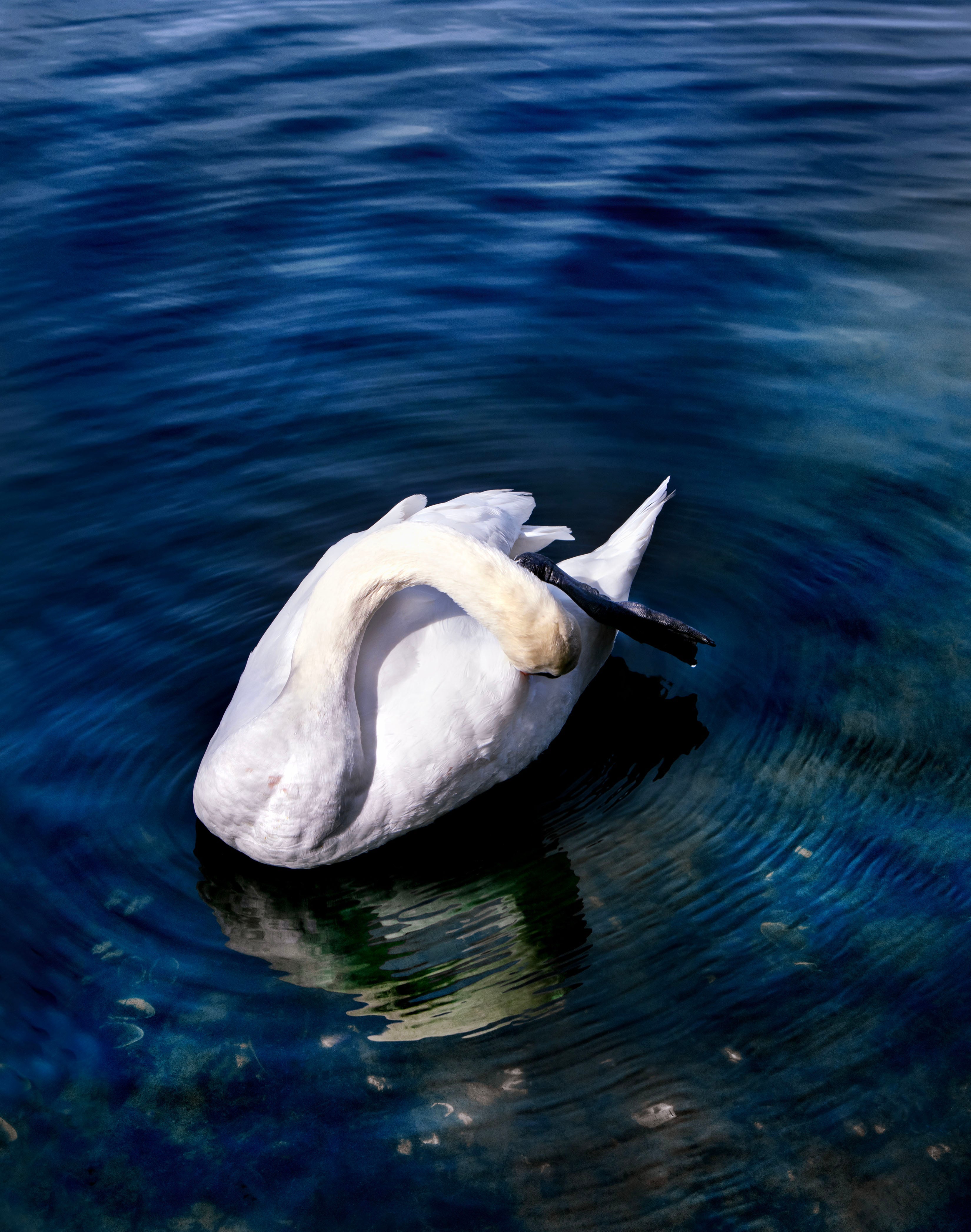 SPAO 20th Anniversary | Oct 4 – 25