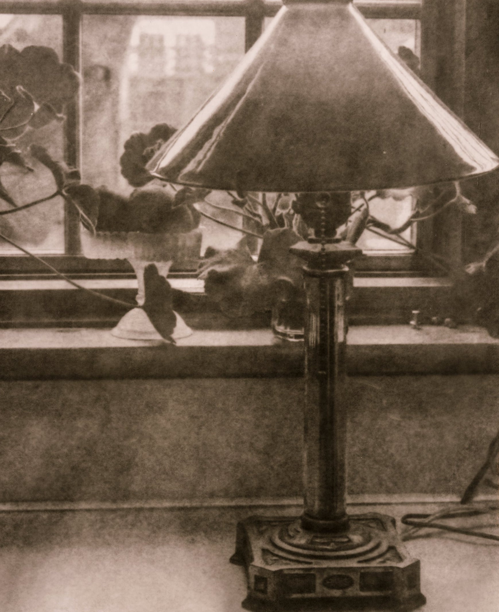 Joy Kardish | Simplicity in a Turbulent World | March 7 – 21