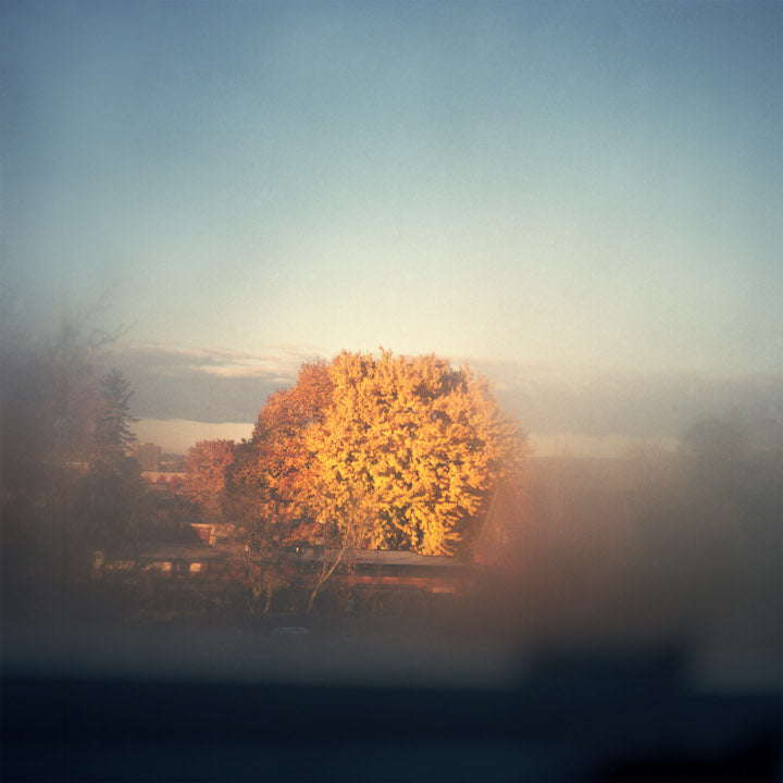 Ava Margueritte | Heaven must be light