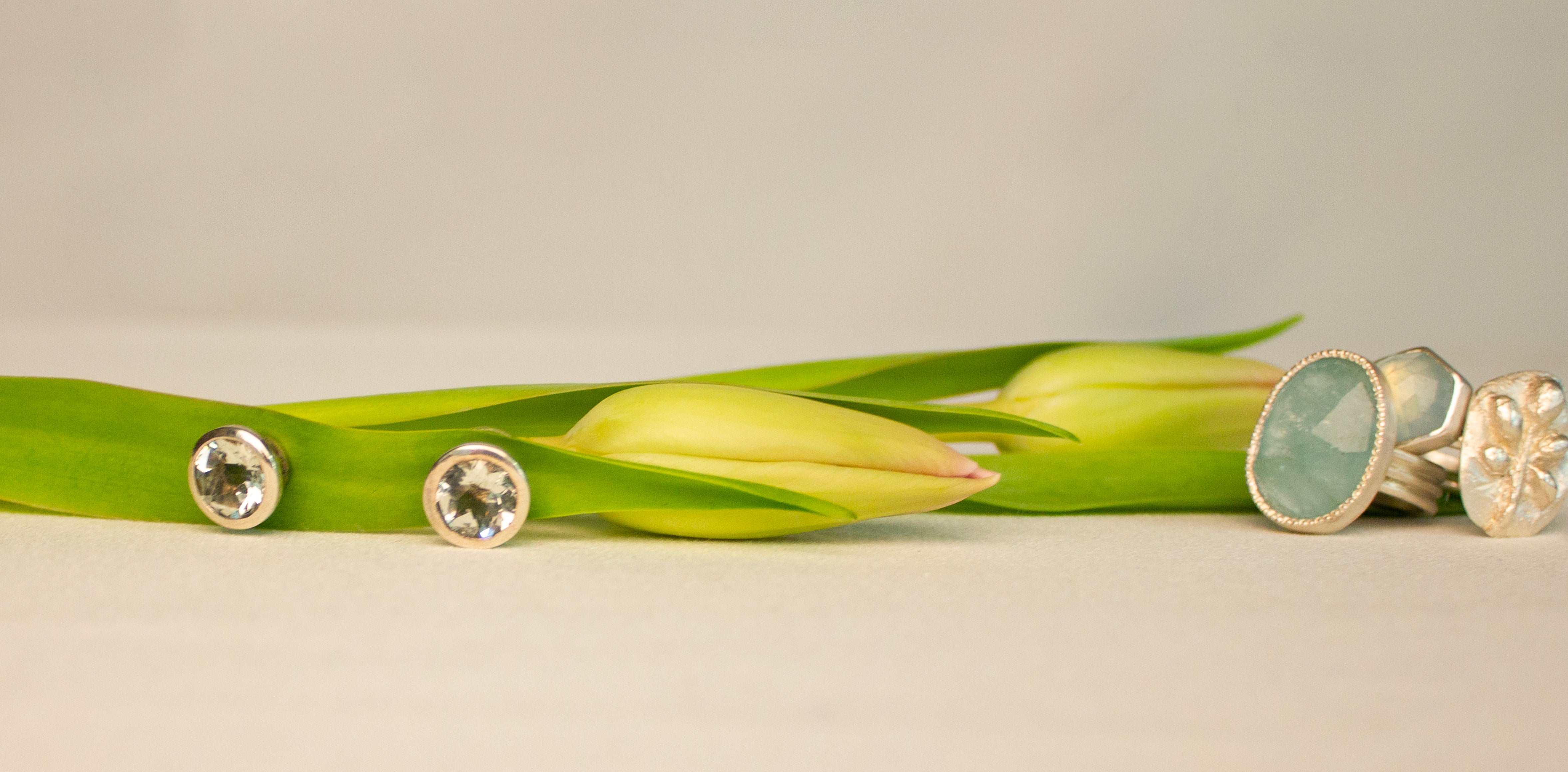 The Budding Collection