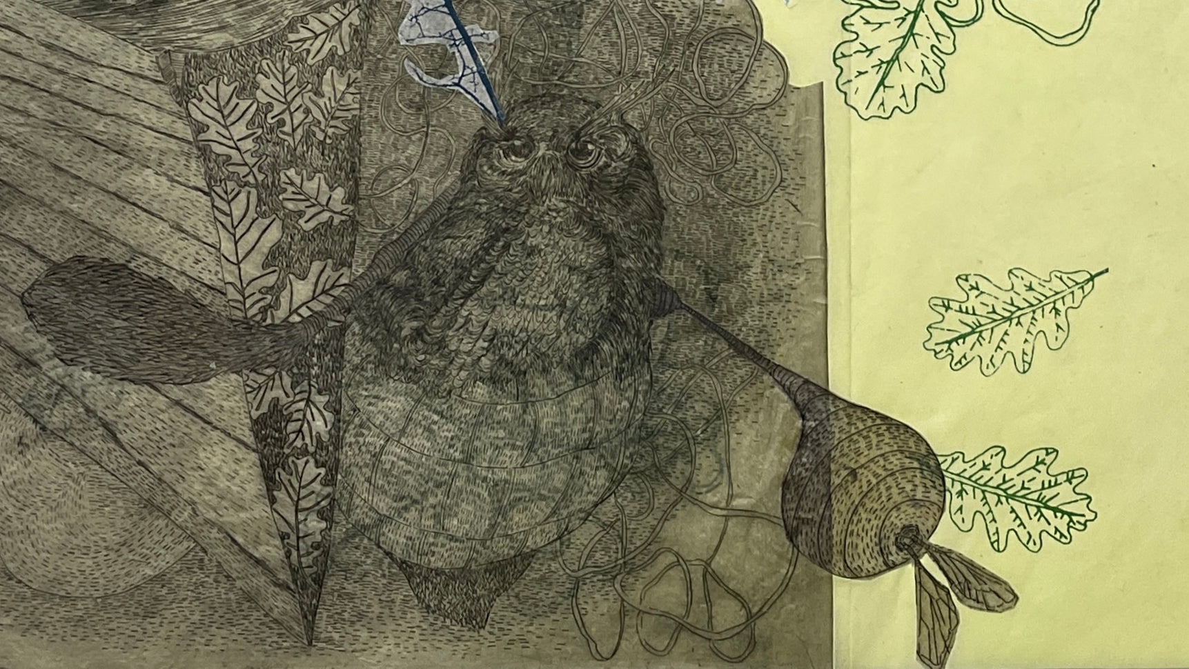 Elizabeth D'Agostino