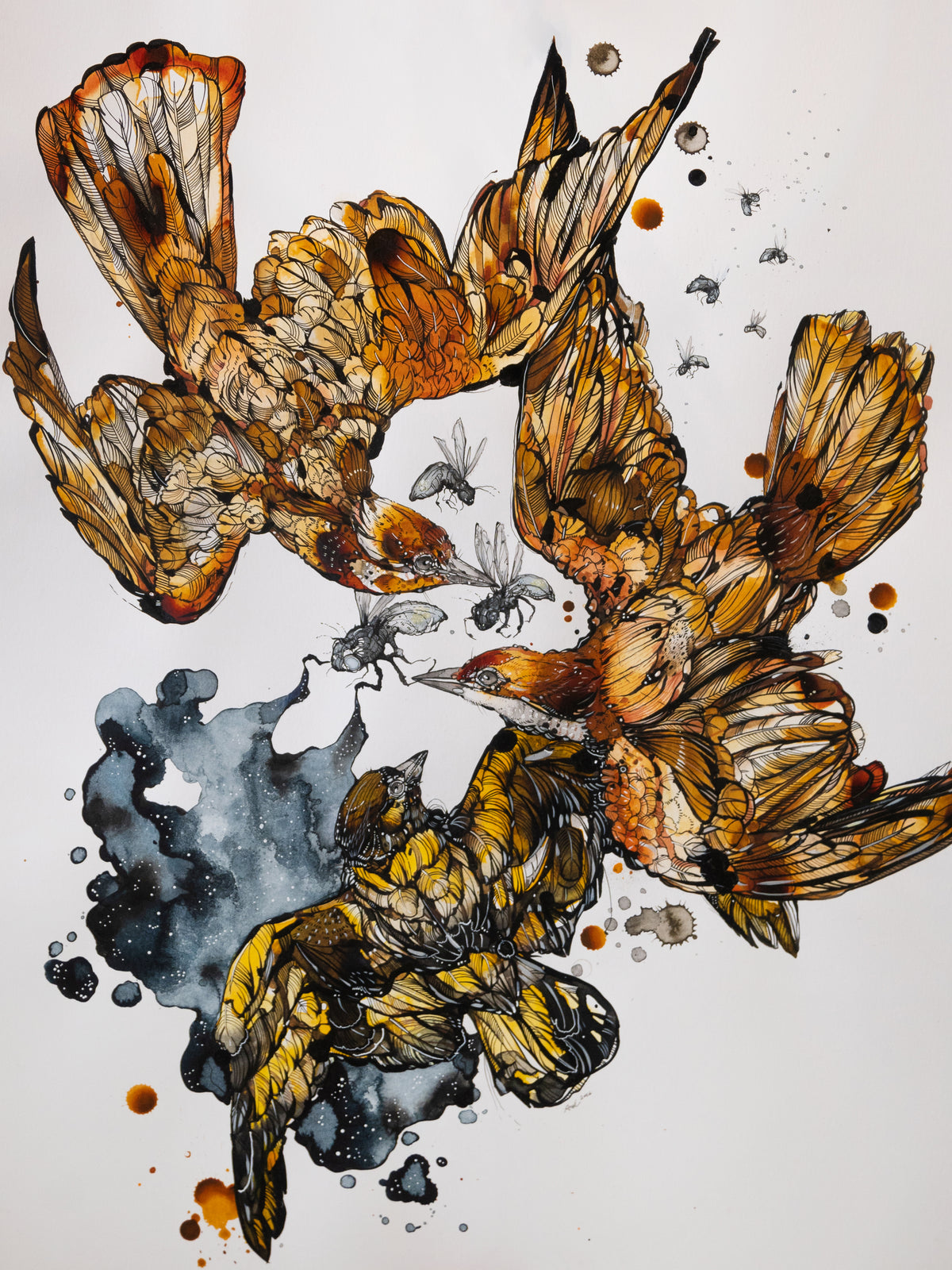 Ariane Beauchamp, Withheld