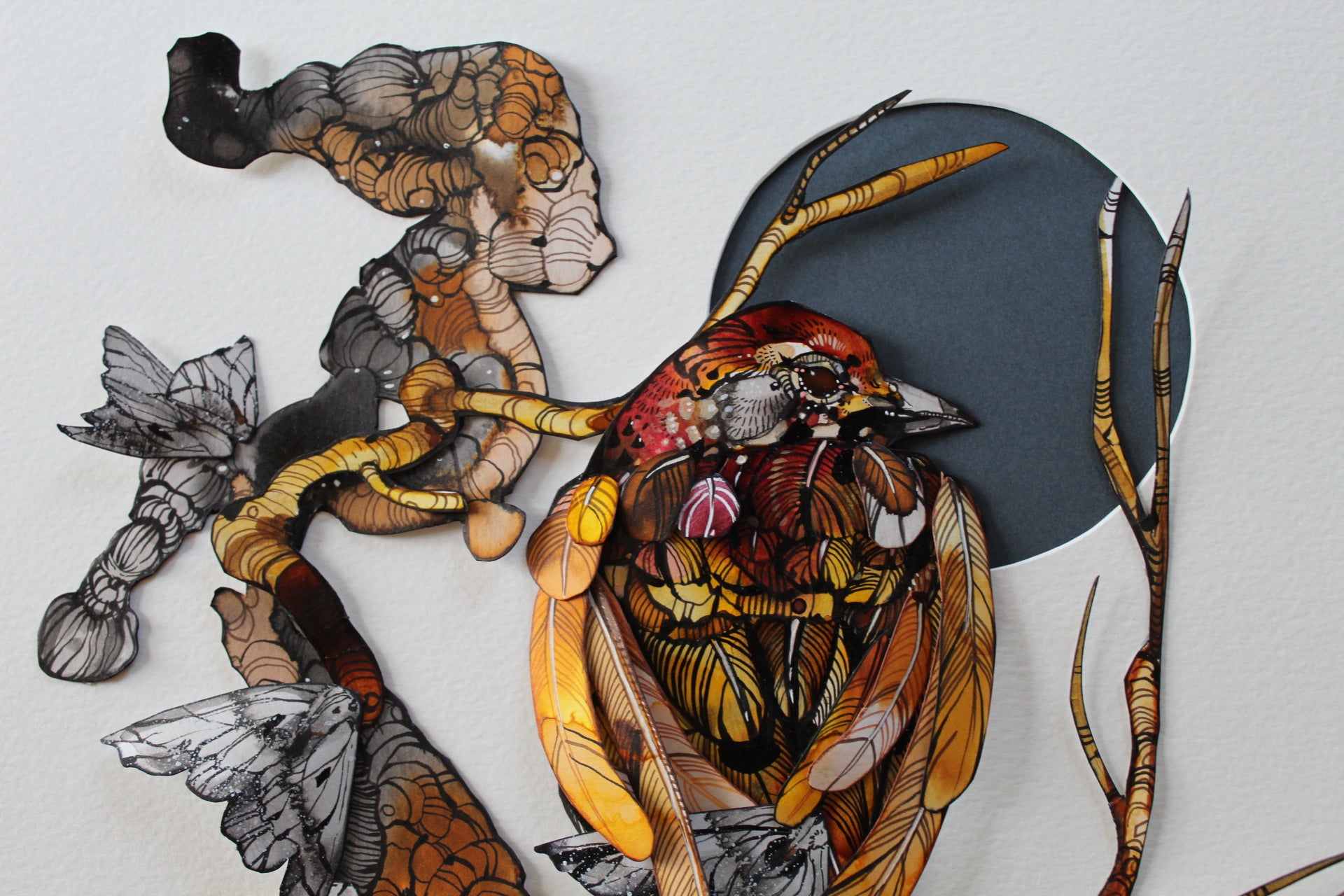 Ariane Beauchamp, Last