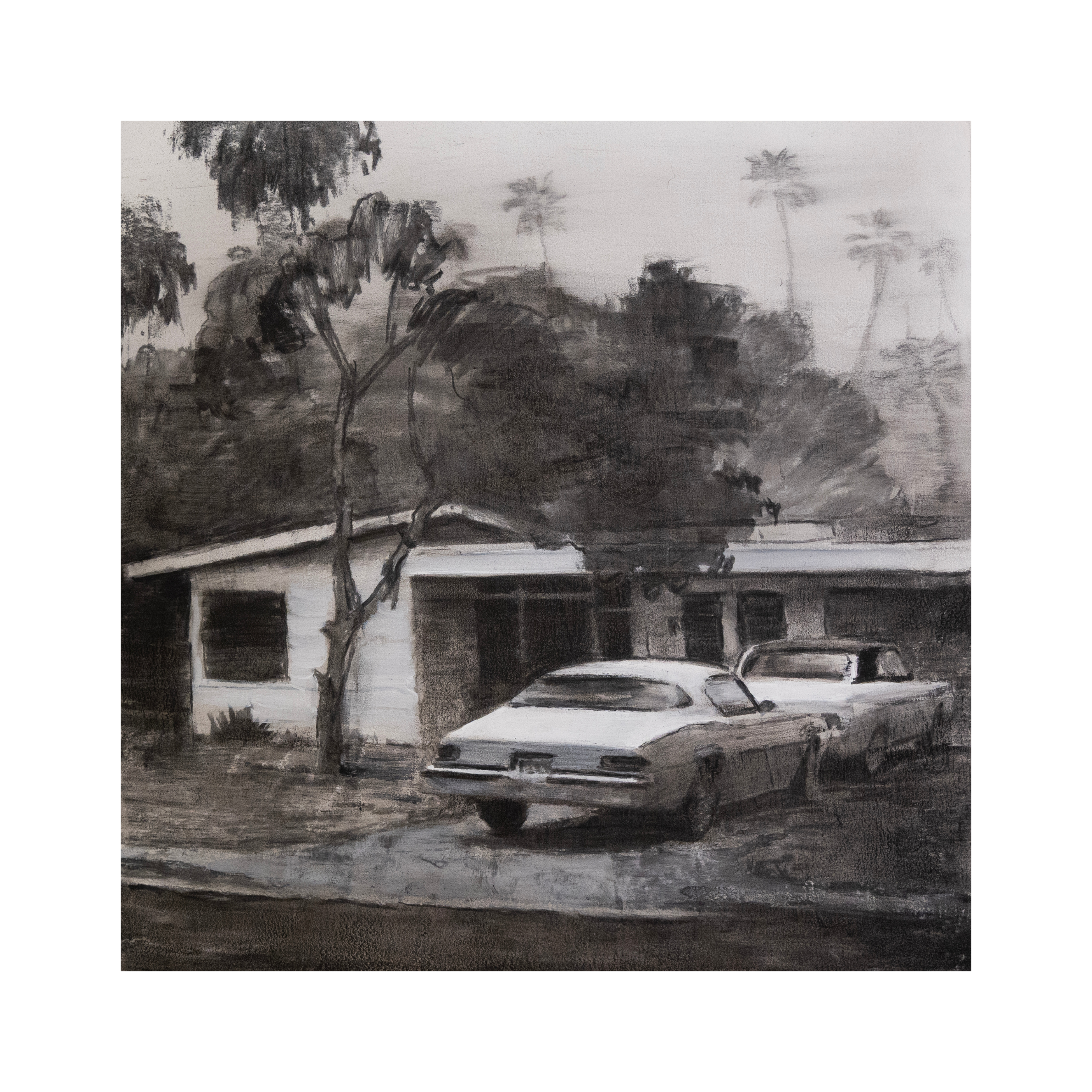 Andrew Beck, Fire Bird