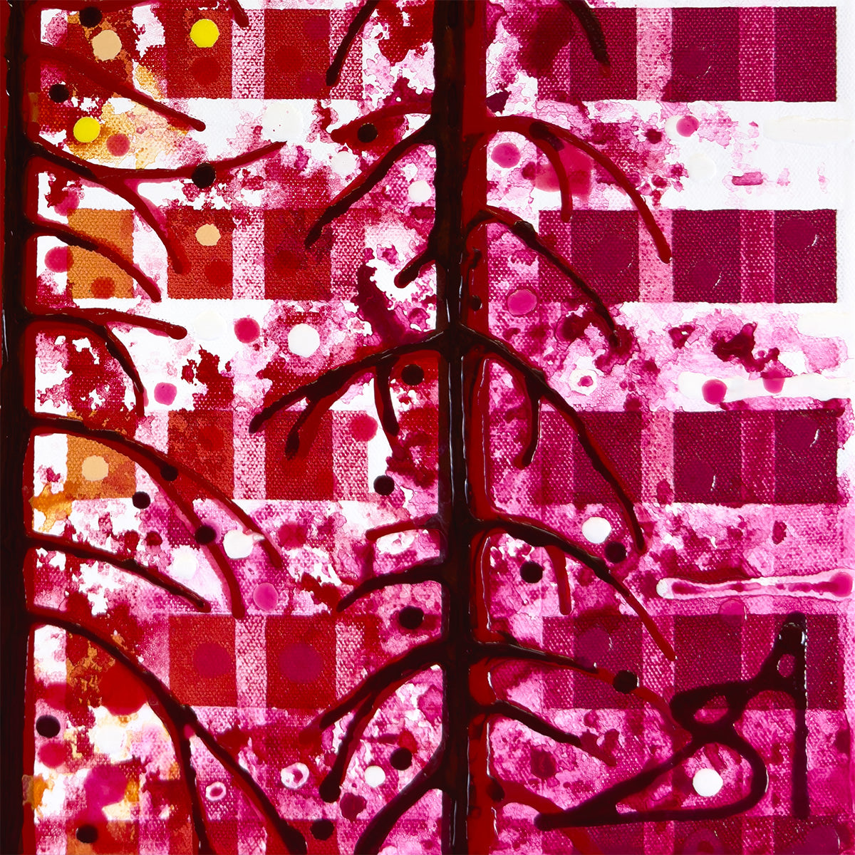 Amy Shackleton, Along These Lines (California + Chicago)