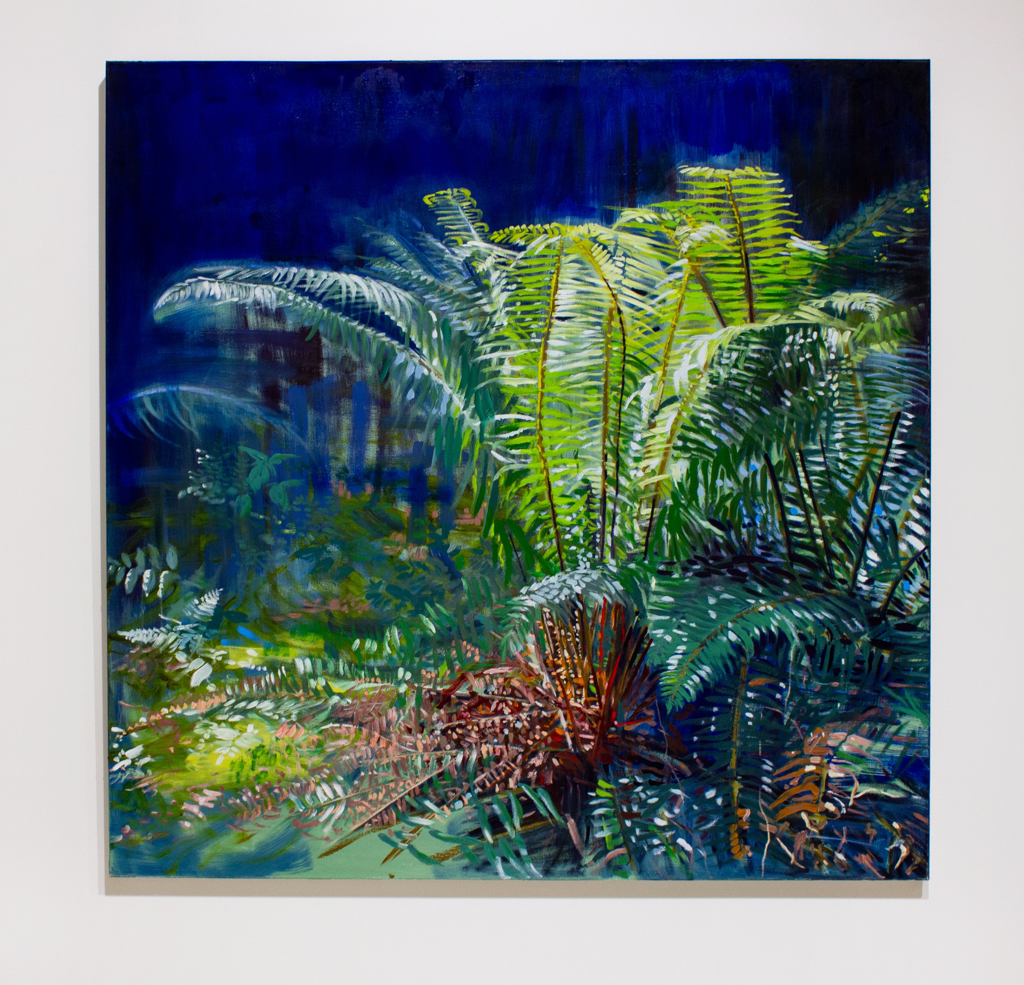 Stephanie Taylor, Illuminated I