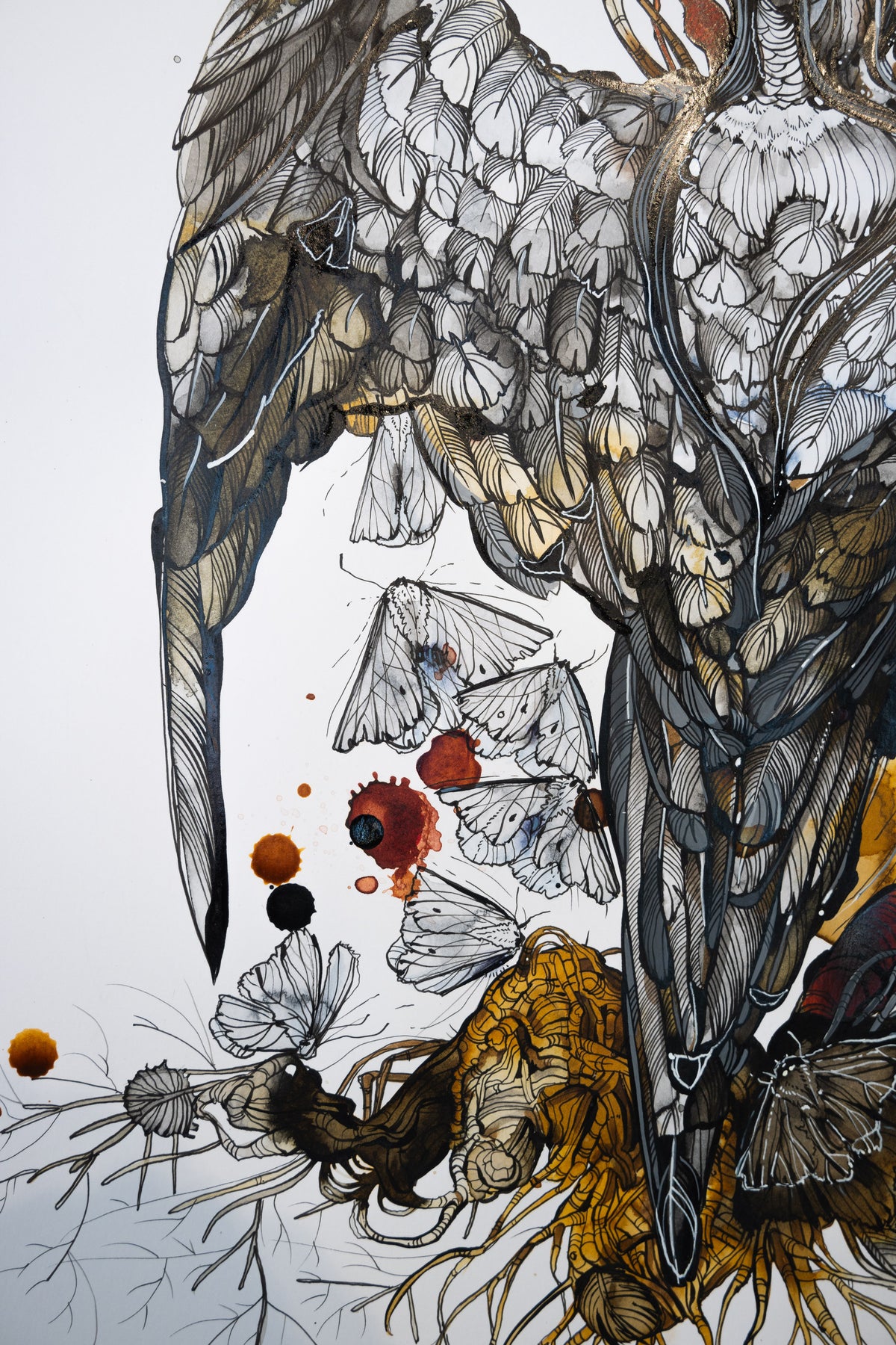 Ariane Beauchamp, Elsewhere-3