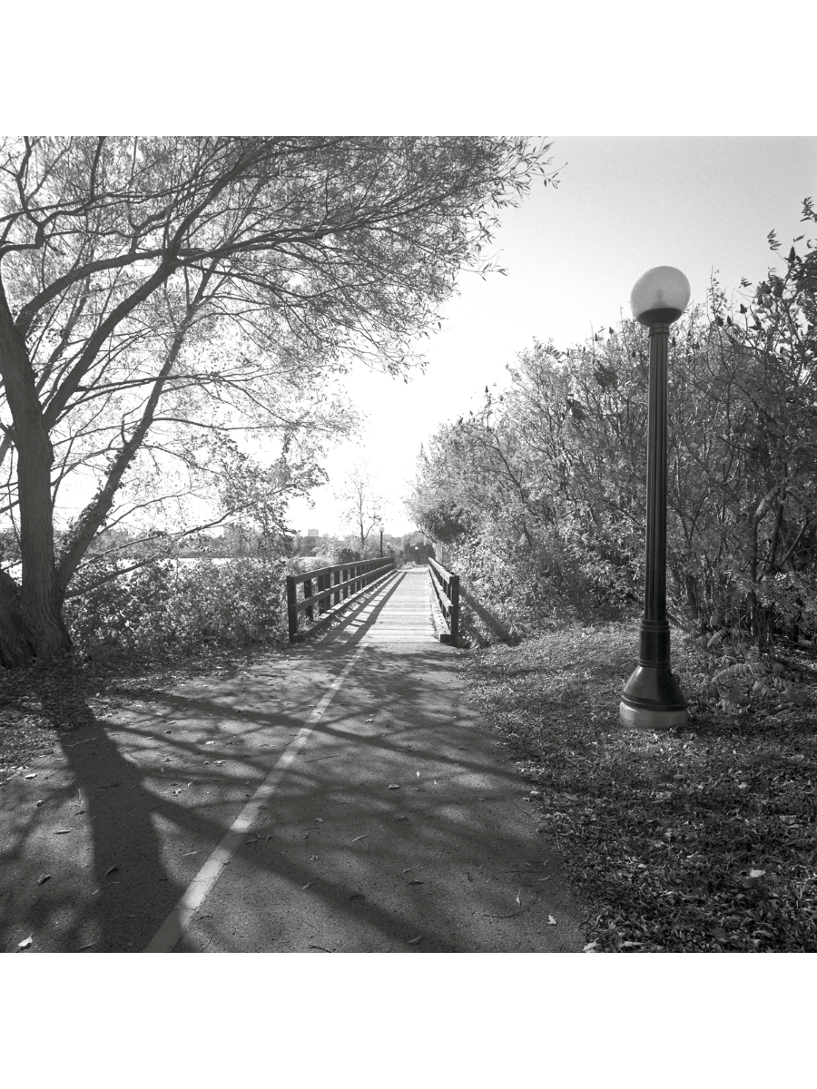 Jordan Craig, Afternoon Bridge-1