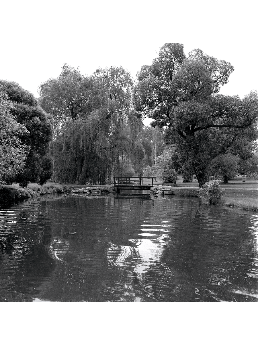 Jordan Craig, Arbouretum Pond-1