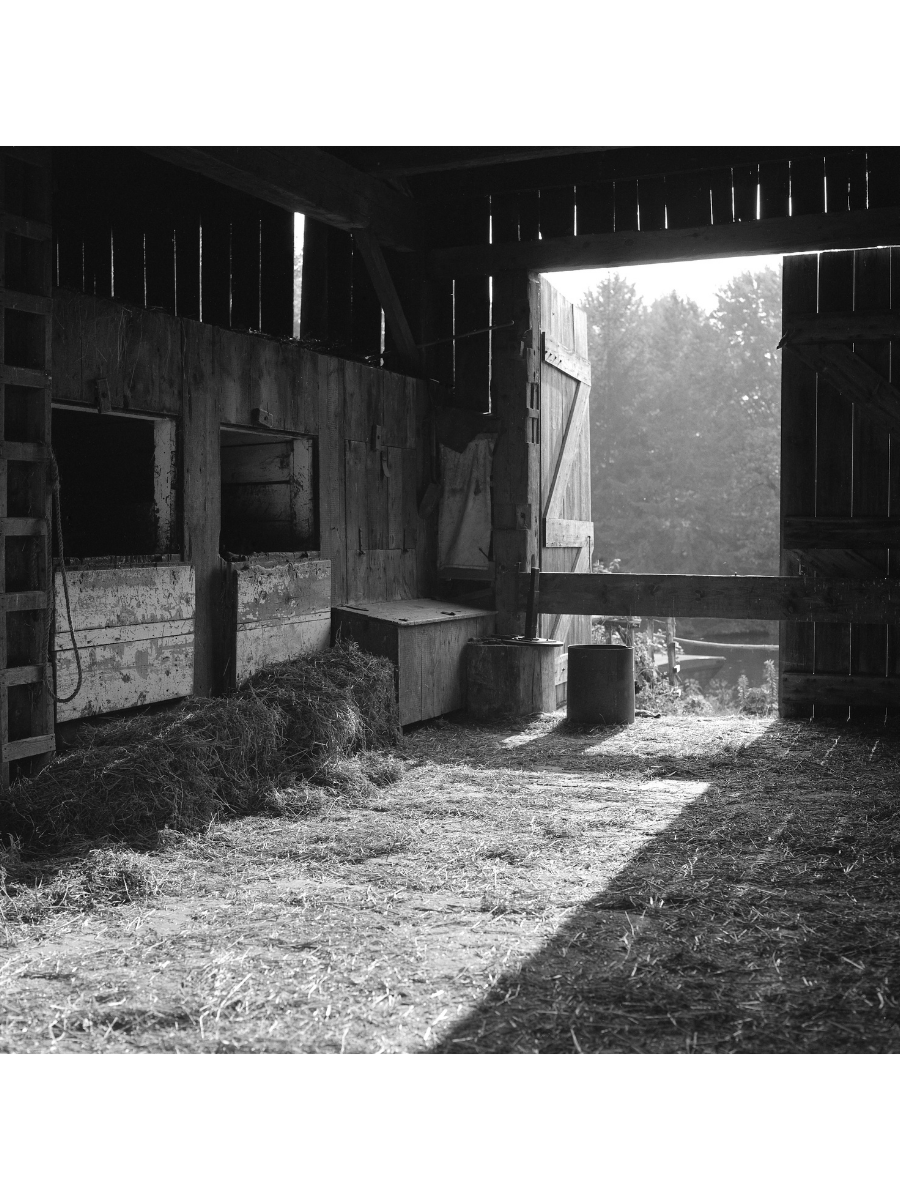 Jordan Craig, Barn Late Afternoon-1
