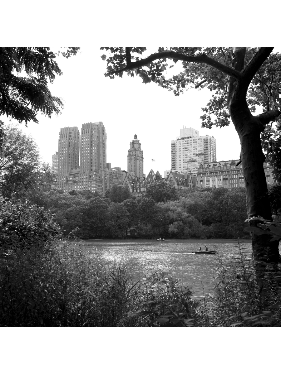 Jordan Craig, Buildings Through Trees