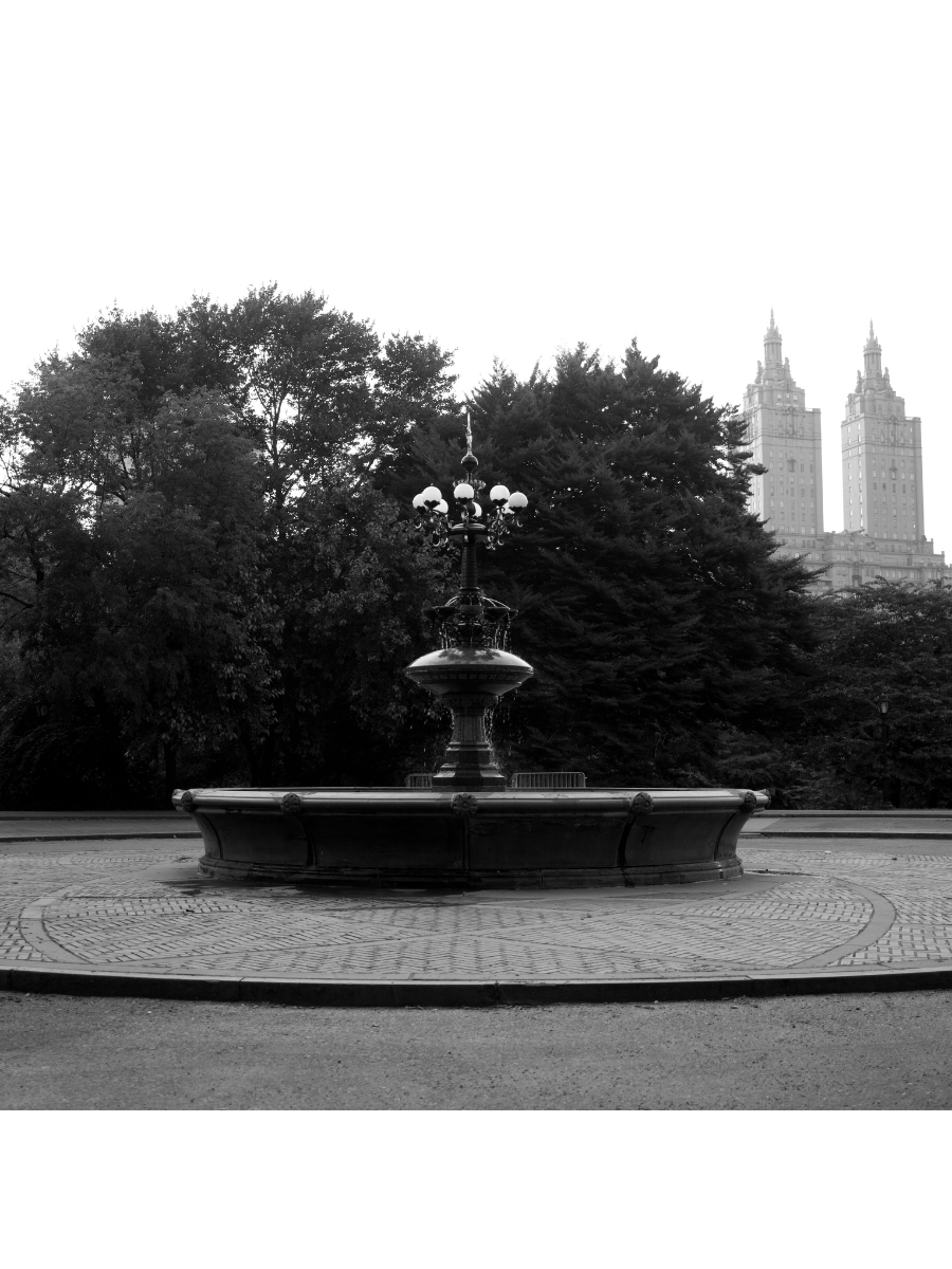 Jordan Craig, Central Park Fountain