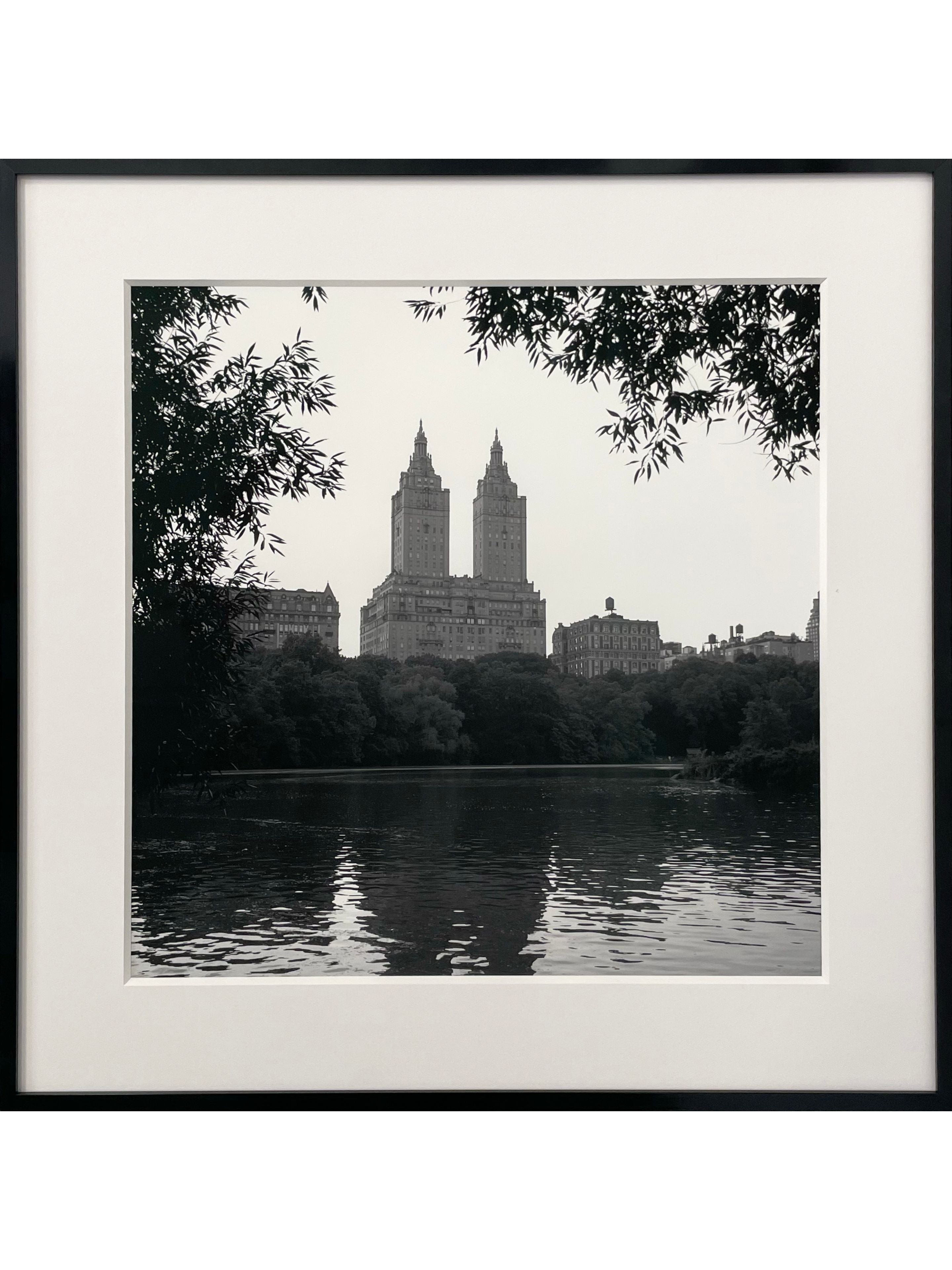 Jordan Craig, Central Park Towers